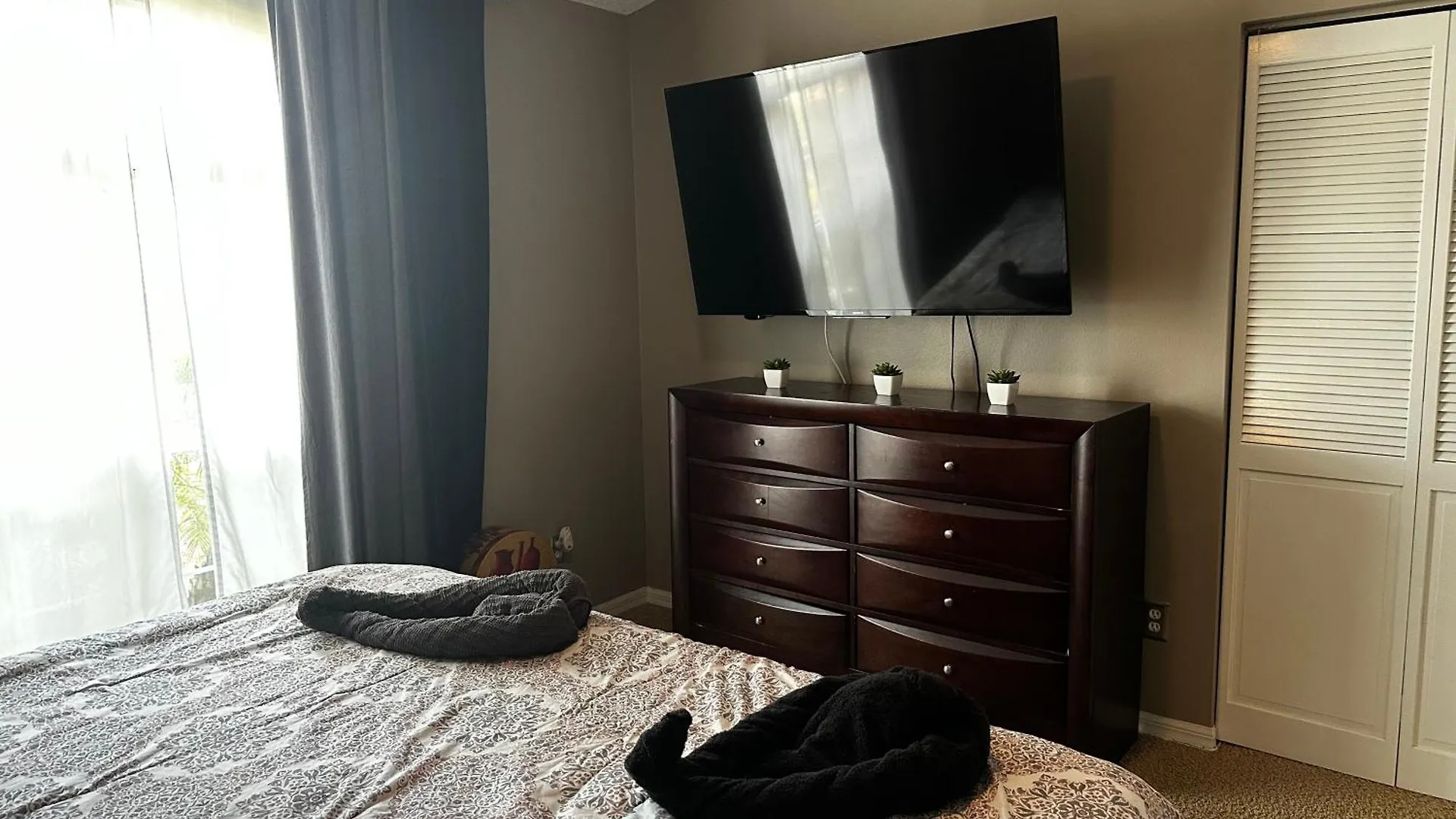 Cozy 3 Bedroom Home Close To Everything In Tampa! 0*, Tampa